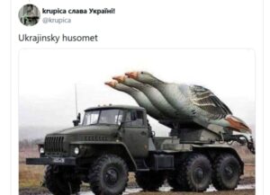 Ukrajinský husomet
